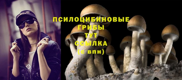 прущие грибы Алексеевка