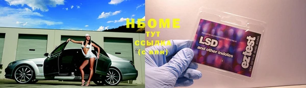 прущие грибы Алексеевка