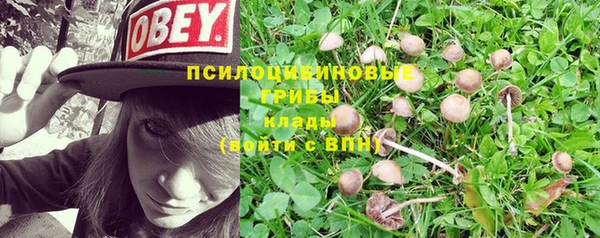 mix Алексин